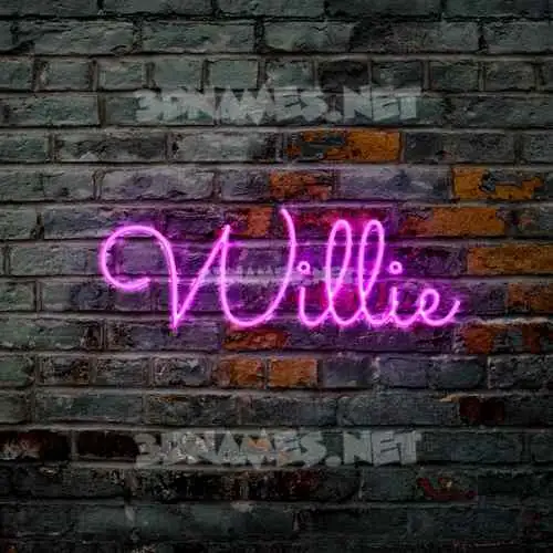 willie in Pink Neon style - 3D name wallpaper willie in Pink Neon style - 3D name wallpaper