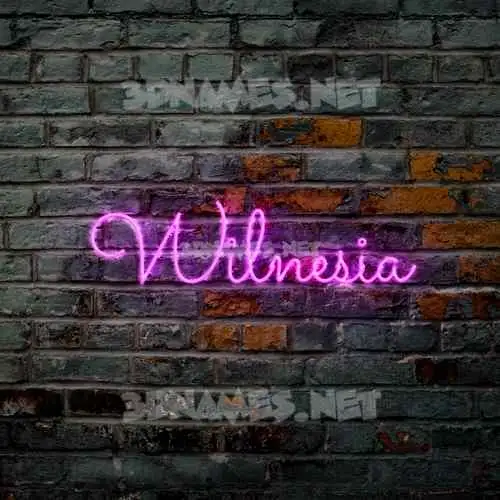 wilnesia in Pink Neon style - 3D name wallpaper wilnesia in Pink Neon style - 3D name wallpaper