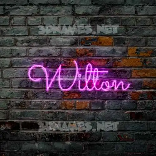 wilton in Pink Neon style - 3D name wallpaper wilton in Pink Neon style - 3D name wallpaper