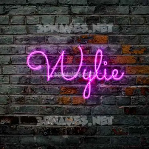 wylie in Pink Neon style - 3D name wallpaper wylie in Pink Neon style - 3D name wallpaper