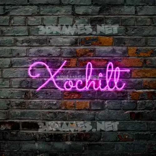 xochilt in Pink Neon style - 3D name wallpaper