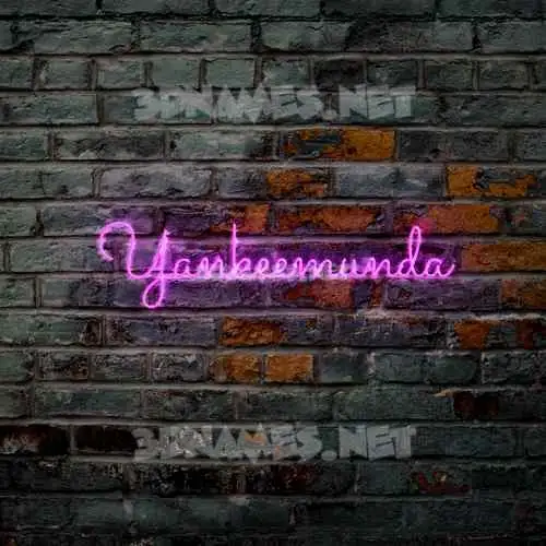 yankeemunda in Pink Neon style - 3D name wallpaper yankeemunda in Pink Neon style - 3D name wallpaper