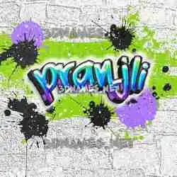 pranjli in Graffiti Grunge style - 3D name wallpaper