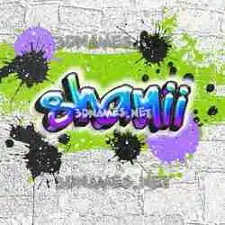 shanii in Graffiti Grunge style - 3D name wallpaper