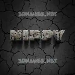 nippy in Cracked Stone style - 3D name wallpaper