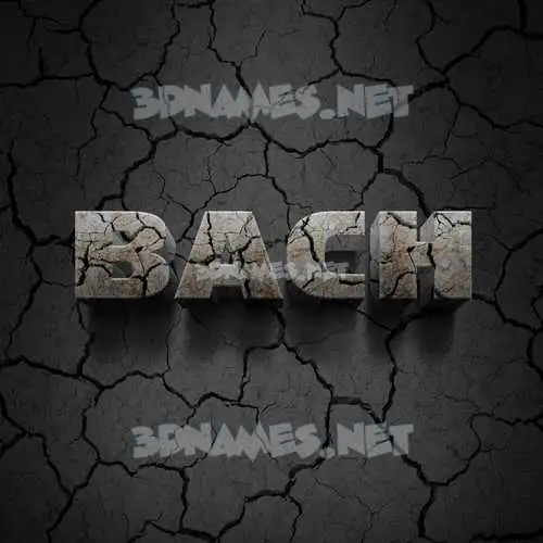bach in Cracked Stone style - 3D name wallpaper bach in Cracked Stone style - 3D name wallpaper