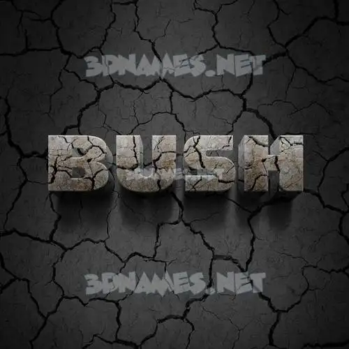 bush in Cracked Stone style - 3D name wallpaper