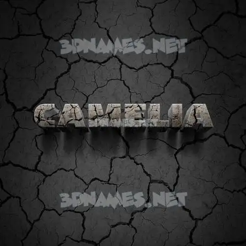 camelia in Cracked Stone style - 3D name wallpaper camelia in Cracked Stone style - 3D name wallpaper