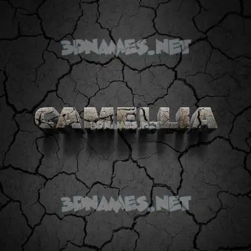 camellia in Cracked Stone style - 3D name wallpaper