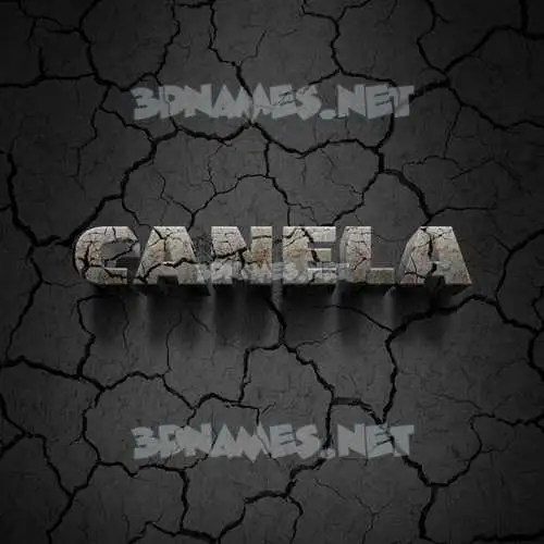 canela in Cracked Stone style - 3D name wallpaper