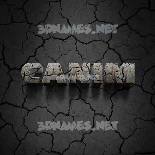 canim in Cracked Stone style - 3D name wallpaper