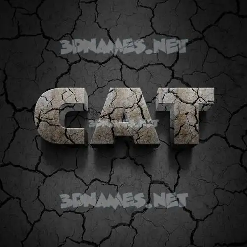 cat in Cracked Stone style - 3D name wallpaper
