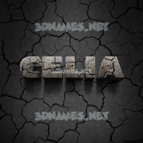 celia in Cracked Stone style - 3D name wallpaper celia in Cracked Stone style - 3D name wallpaper