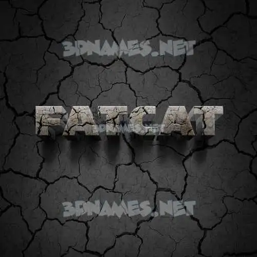 fatcat in Cracked Stone style - 3D name wallpaper fatcat in Cracked Stone style - 3D name wallpaper