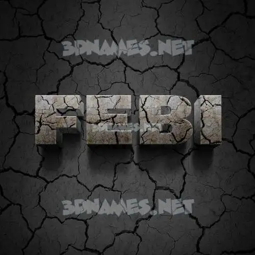 febi in Cracked Stone style - 3D name wallpaper febi in Cracked Stone style - 3D name wallpaper