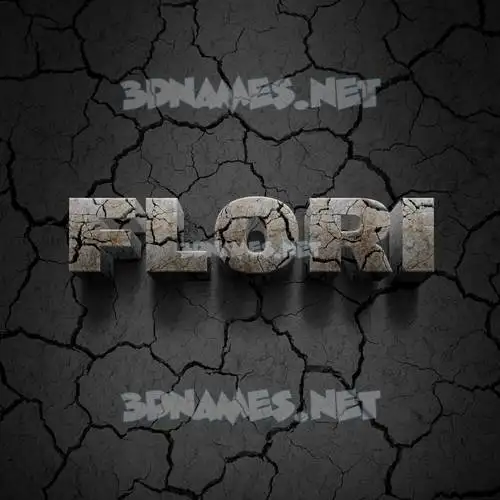 flori in Cracked Stone style - 3D name wallpaper flori in Cracked Stone style - 3D name wallpaper