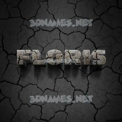 floris in Cracked Stone style - 3D name wallpaper floris in Cracked Stone style - 3D name wallpaper