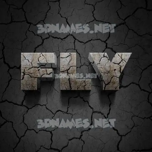 fly in Cracked Stone style - 3D name wallpaper fly in Cracked Stone style - 3D name wallpaper