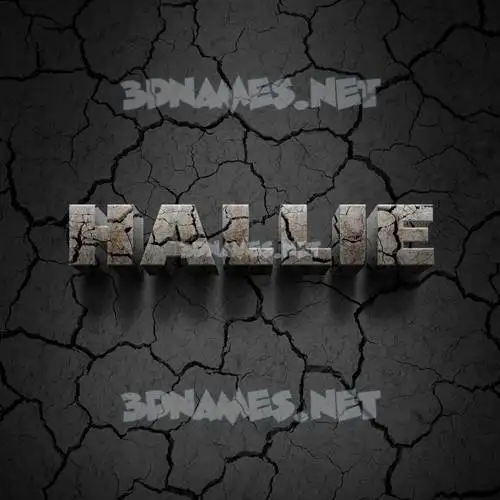 hallie in Cracked Stone style - 3D name wallpaper hallie in Cracked Stone style - 3D name wallpaper