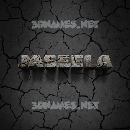 jaseela in Cracked Stone style - 3D name wallpaper jaseela in Cracked Stone style - 3D name wallpaper