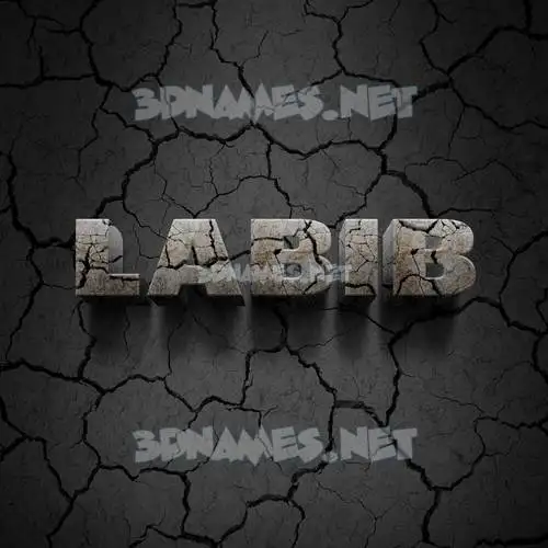 labib in Cracked Stone style - 3D name wallpaper labib in Cracked Stone style - 3D name wallpaper