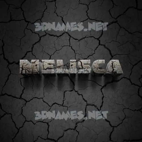melisca in Cracked Stone style - 3D name wallpaper melisca in Cracked Stone style - 3D name wallpaper