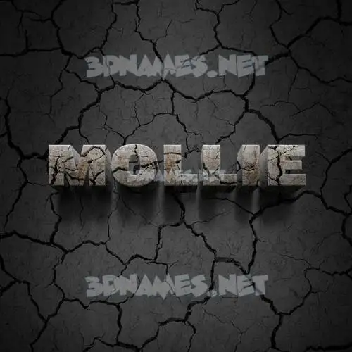 mollie in Cracked Stone style - 3D name wallpaper mollie in Cracked Stone style - 3D name wallpaper