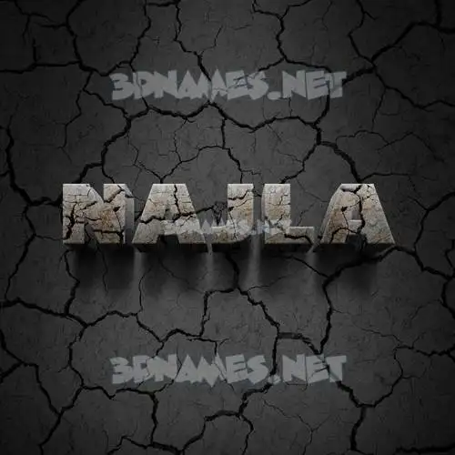 najla in Cracked Stone style - 3D name wallpaper najla in Cracked Stone style - 3D name wallpaper