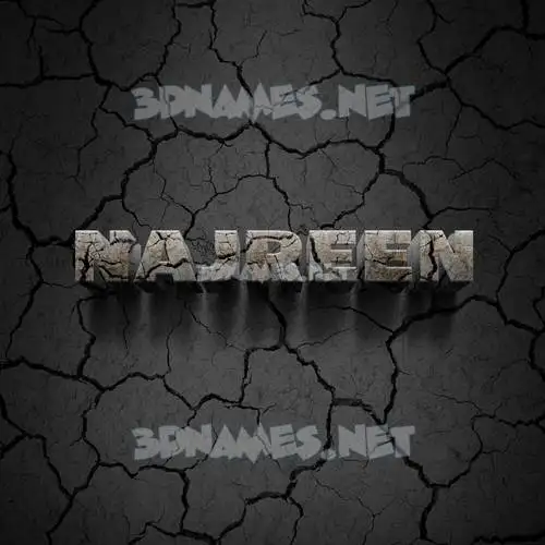 najreen in Cracked Stone style - 3D name wallpaper najreen in Cracked Stone style - 3D name wallpaper