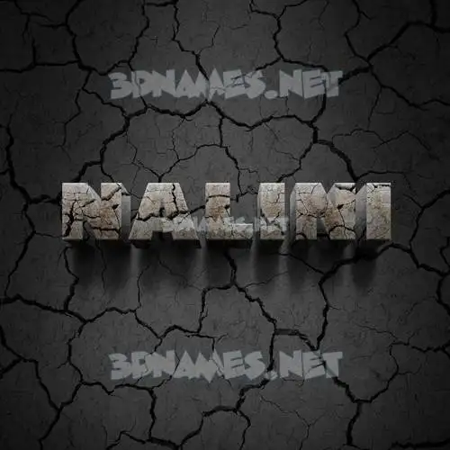 nalini in Cracked Stone style - 3D name wallpaper nalini in Cracked Stone style - 3D name wallpaper
