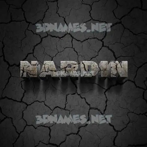 nardin in Cracked Stone style - 3D name wallpaper nardin in Cracked Stone style - 3D name wallpaper
