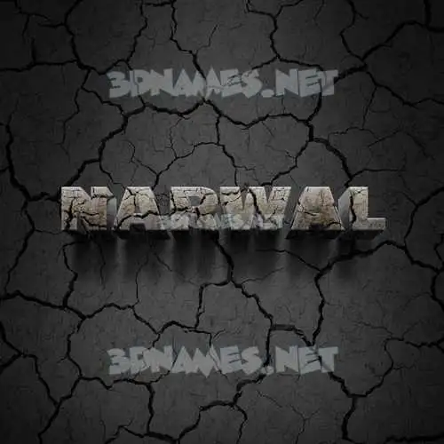 narwal in Cracked Stone style - 3D name wallpaper