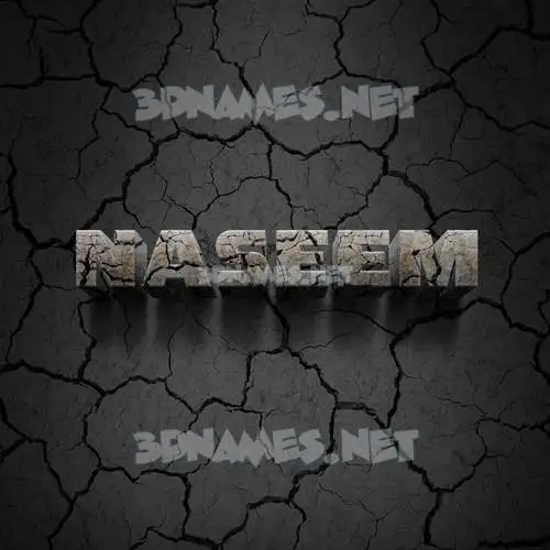 naseem in Cracked Stone style - 3D name wallpaper naseem in Cracked Stone style - 3D name wallpaper