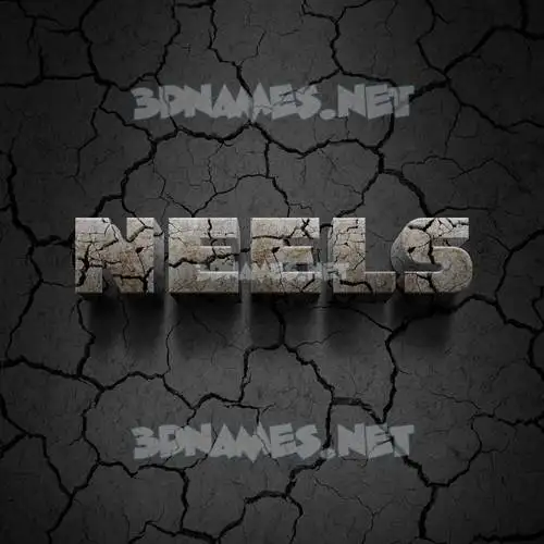neels in Cracked Stone style - 3D name wallpaper neels in Cracked Stone style - 3D name wallpaper