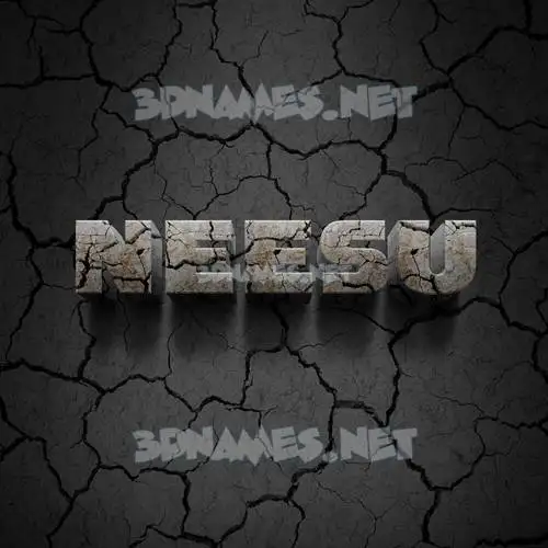 neesu in Cracked Stone style - 3D name wallpaper neesu in Cracked Stone style - 3D name wallpaper