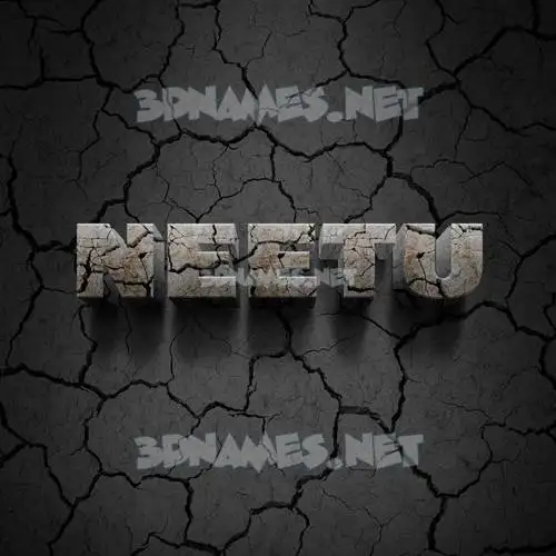 neetu in Cracked Stone style - 3D name wallpaper neetu in Cracked Stone style - 3D name wallpaper