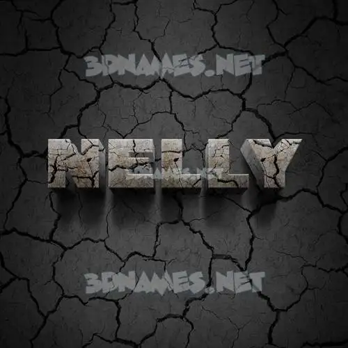 nelly in Cracked Stone style - 3D name wallpaper nelly in Cracked Stone style - 3D name wallpaper