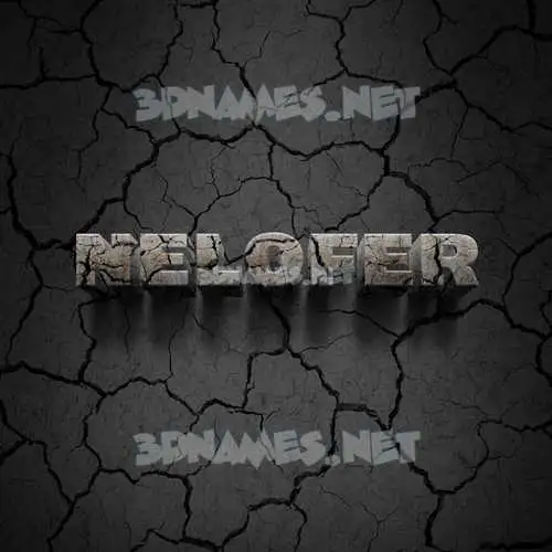 nelofer in Cracked Stone style - 3D name wallpaper nelofer in Cracked Stone style - 3D name wallpaper
