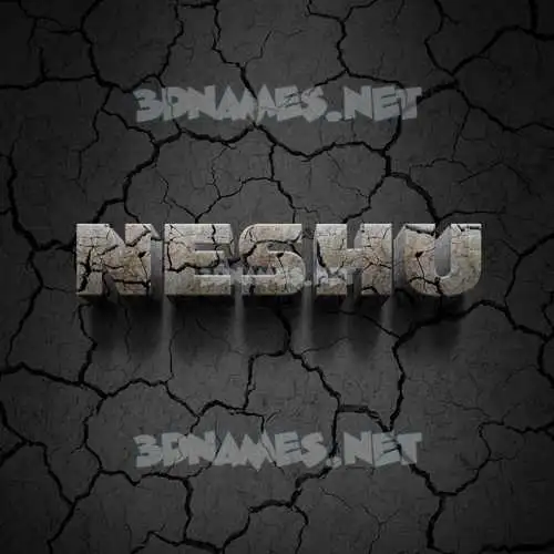 neshu in Cracked Stone style - 3D name wallpaper