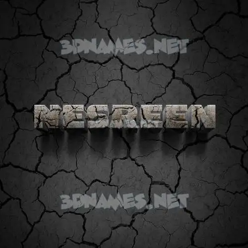 nesreen in Cracked Stone style - 3D name wallpaper nesreen in Cracked Stone style - 3D name wallpaper