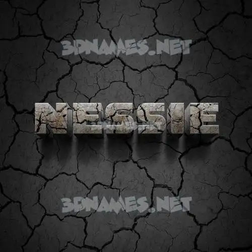 nessie in Cracked Stone style - 3D name wallpaper nessie in Cracked Stone style - 3D name wallpaper