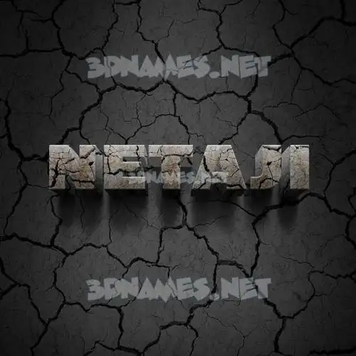 netaji in Cracked Stone style - 3D name wallpaper netaji in Cracked Stone style - 3D name wallpaper