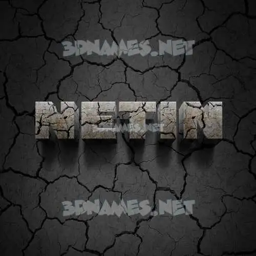 netin in Cracked Stone style - 3D name wallpaper netin in Cracked Stone style - 3D name wallpaper