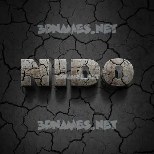 nido in Cracked Stone style - 3D name wallpaper