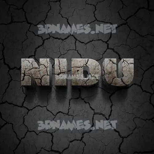 nidu in Cracked Stone style - 3D name wallpaper nidu in Cracked Stone style - 3D name wallpaper