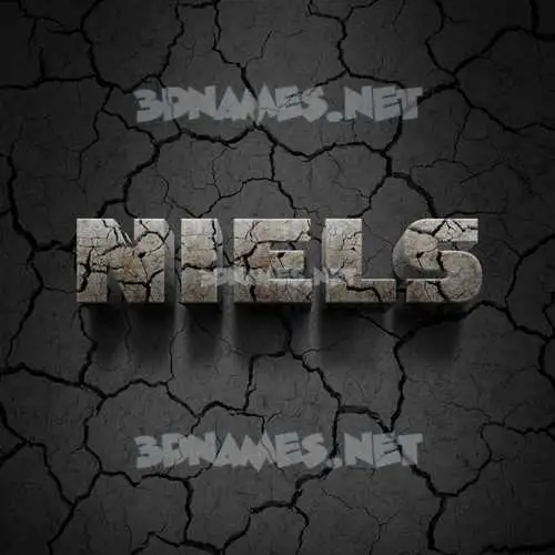 niels in Cracked Stone style - 3D name wallpaper niels in Cracked Stone style - 3D name wallpaper