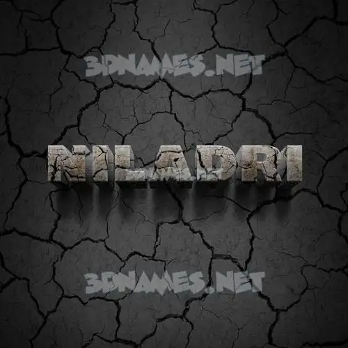 niladri in Cracked Stone style - 3D name wallpaper
