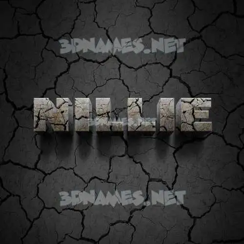 nillie in Cracked Stone style - 3D name wallpaper nillie in Cracked Stone style - 3D name wallpaper