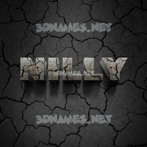 nilly in Cracked Stone style - 3D name wallpaper nilly in Cracked Stone style - 3D name wallpaper