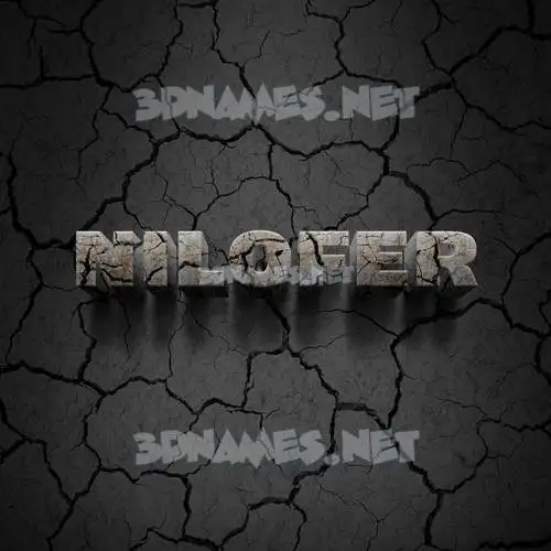 nilofer in Cracked Stone style - 3D name wallpaper nilofer in Cracked Stone style - 3D name wallpaper